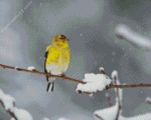 Yellow Bird And Snow Diamond Painting