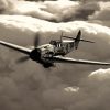 Black And White BF109 Diamond Painting