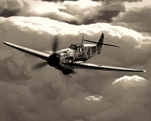 Black And White BF109 Diamond Painting