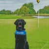 Black Golf Dog Diamond Painting