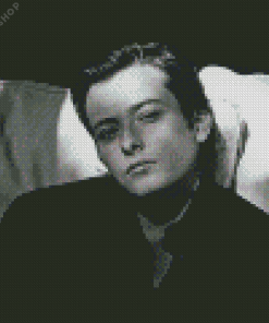 Black And White Edward Furlong Diamond Painting