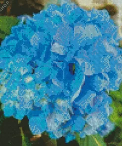 Blue Hydrangea Flower Diamond Painting