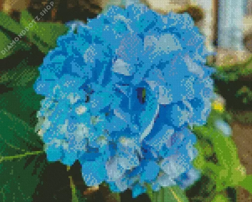 Blue Hydrangea Flower Diamond Painting