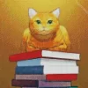 Book Cat Diamond Painting