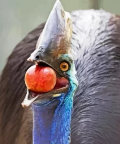 Cassowary Diamond Painting