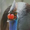 Cassowary Diamond Painting