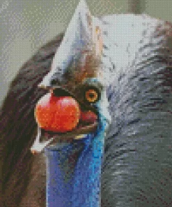 Cassowary Diamond Painting