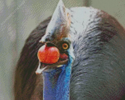 Cassowary Diamond Painting