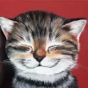 Cute Happy Cat Diamond Painting