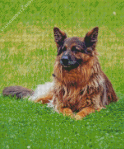 Cute Herding Dog Diamond Painting