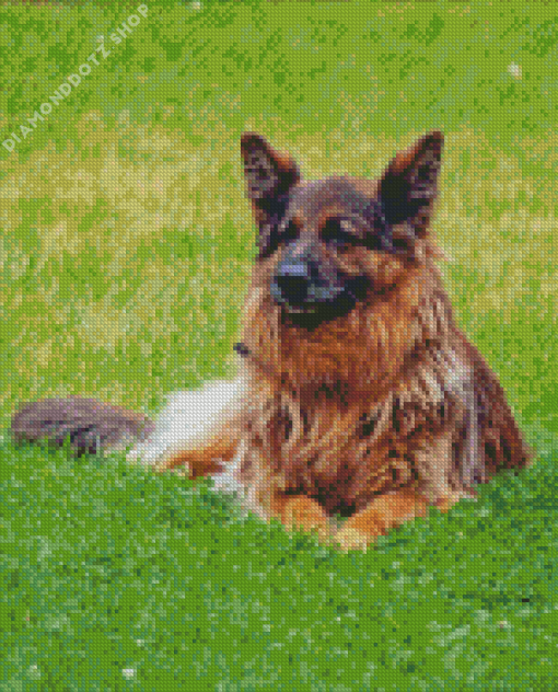 Cute Herding Dog Diamond Painting