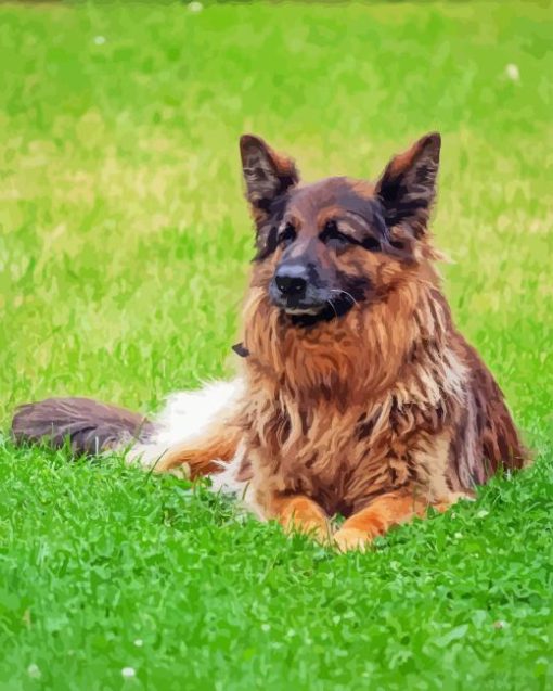 Cute Herding Dog Diamond Painting