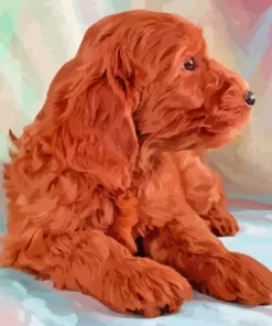 Dark Red Miniature Golden Doodle Diamond Painting