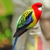 Eastern Rosella Bird Diamond Painting