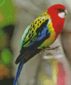 Eastern Rosella Bird Diamond Painting