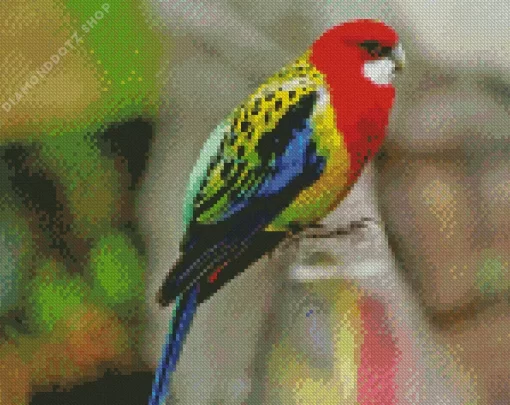 Eastern Rosella Bird Diamond Painting