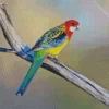 Eastern Rosella On Branch Diamond Painting