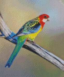 Eastern Rosella On Branch Diamond Painting