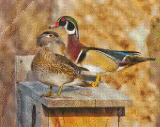 Female And Male Wood Duck Birds Diamond Painting