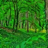 Forest Greenery Trees Diamond Painting