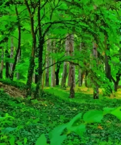 Forest Greenery Trees Diamond Painting