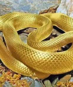 Golden Yellow Snake Diamond Painting