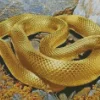 Golden Yellow Snake Diamond Painting