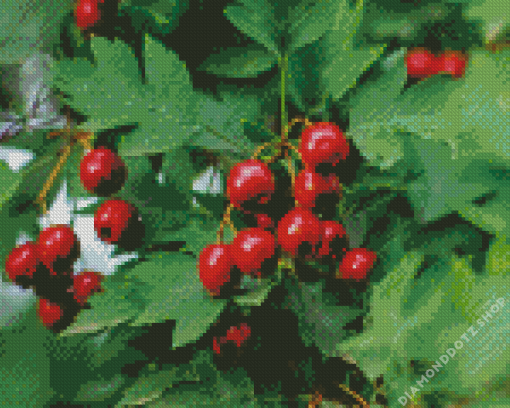 Hawthorn Plant Diamond Painting