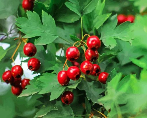 Hawthorn Plant Diamond Painting