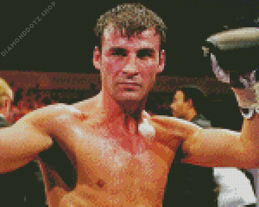 Joe Calzaghe Diamond Painting