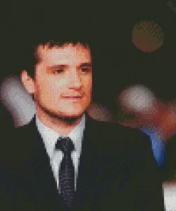 Josh Hutcheron Diamond Painting