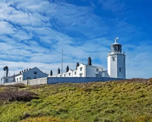 Lizard Lighthouse Diamond Painting