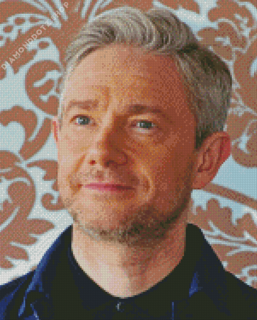 Martin Freeman Diamond Painting