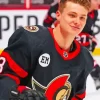 Ottawa Senators Team Player diamond By Numbers