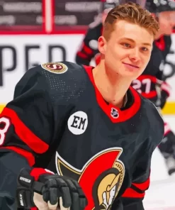 Ottawa Senators Team Player diamond By Numbers