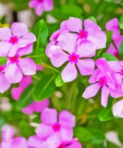 Periwinkle Flowers Diamond Painting