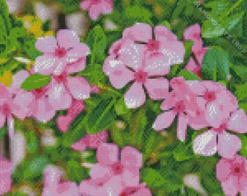 Periwinkle Flowers Diamond Painting