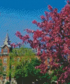 Purdue University US Diamond Painting