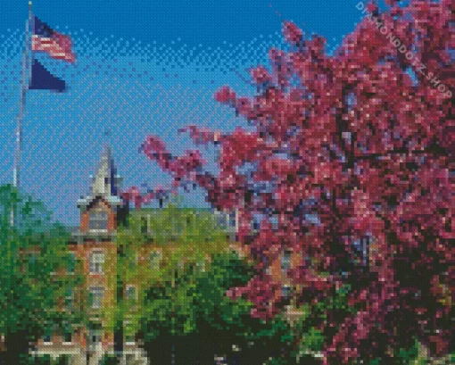 Purdue University US Diamond Painting