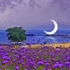 Purple Blossom Moon On beach Diamond Painting