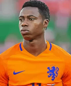 Quincy Promes Diamond Painting