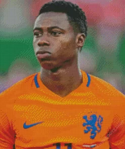 Quincy Promes Diamond Painting