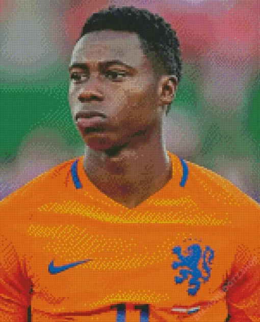 Quincy Promes Diamond Painting