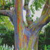 Rainbow Eucalyptus Tree Diamond Painting