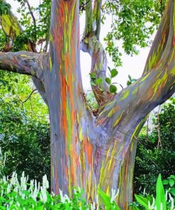 Rainbow Eucalyptus Tree Diamond Painting