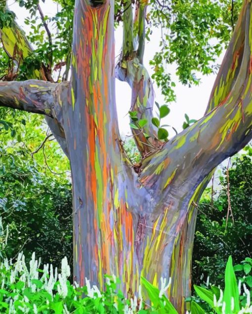 Rainbow Eucalyptus Tree Diamond Painting