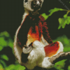 Sifaka Animal Diamond Painting