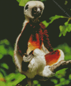 Sifaka Animal Diamond Painting