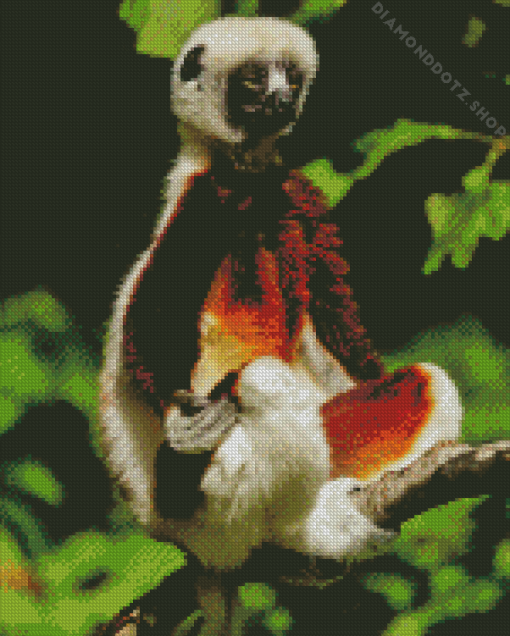 Sifaka Animal Diamond Painting