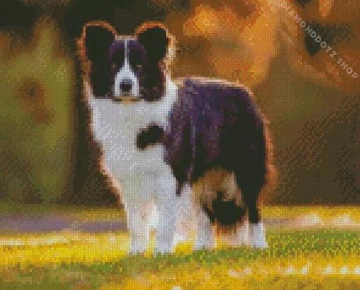 Smooth Collie Diamond Painting